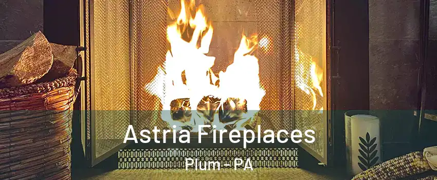  Astria Fireplaces Plum - PA