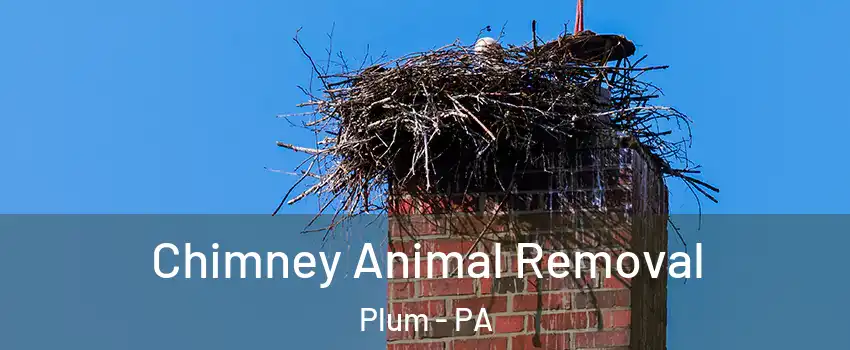 Chimney Animal Removal Plum - PA