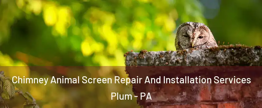  Chimney Animal Screen Repair And Installation Services Plum - PA