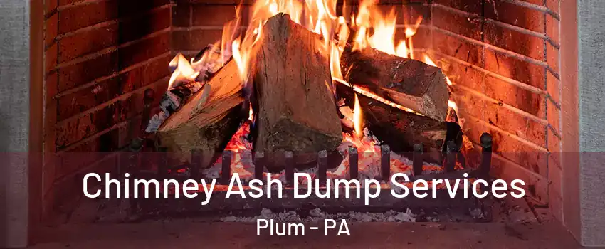 Chimney Ash Dump Services Plum - PA