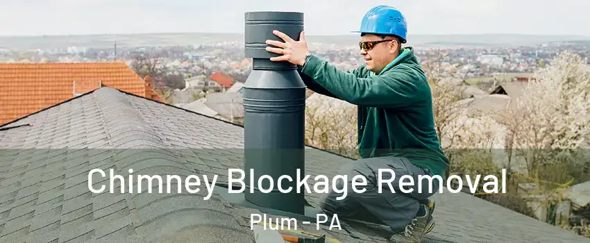  Chimney Blockage Removal Plum - PA