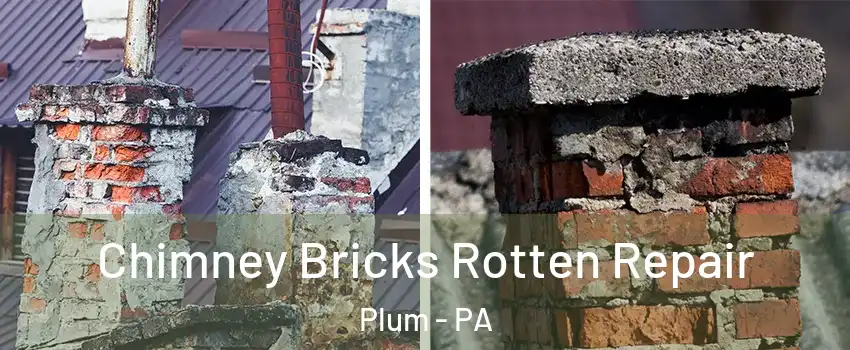  Chimney Bricks Rotten Repair Plum - PA