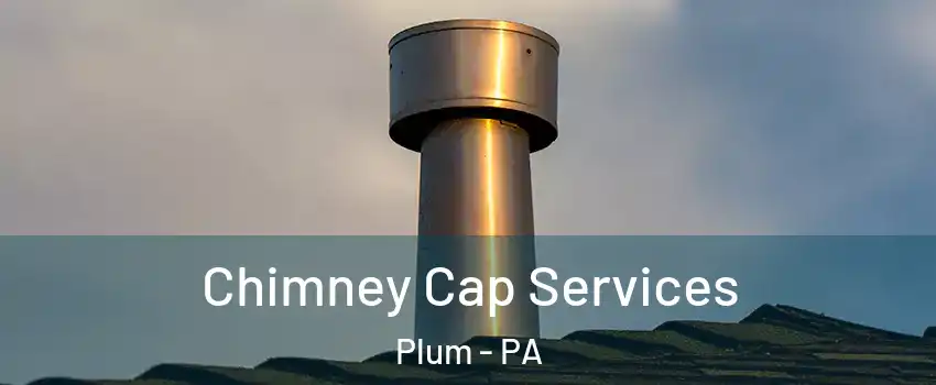 Chimney Cap Services Plum - PA