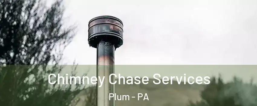  Chimney Chase Services Plum - PA