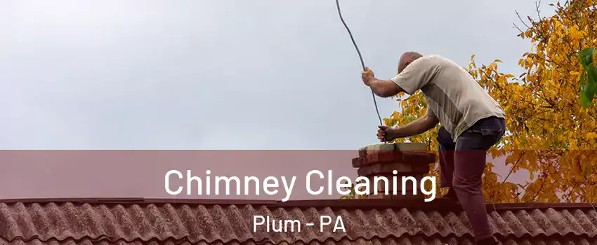  Chimney Cleaning Plum - PA