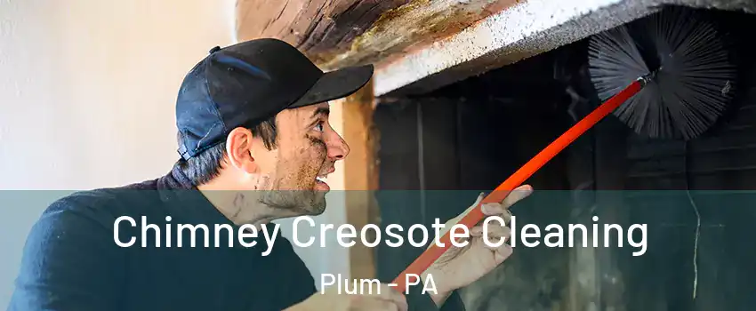  Chimney Creosote Cleaning Plum - PA