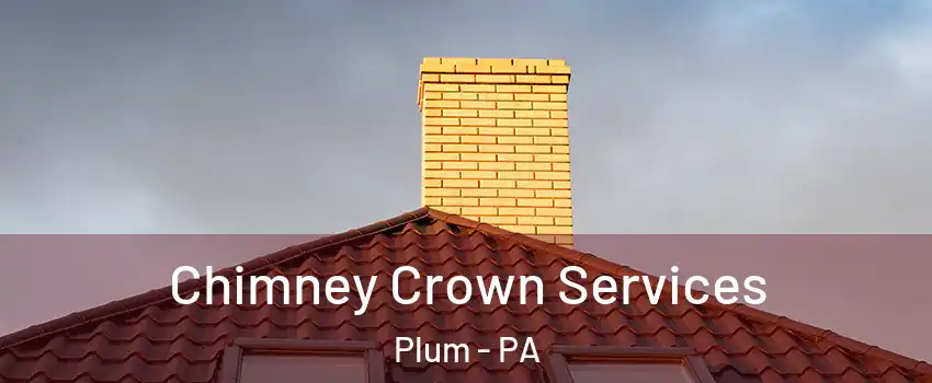 Chimney Crown Services Plum - PA