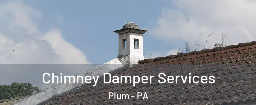  Chimney Damper Services Plum - PA