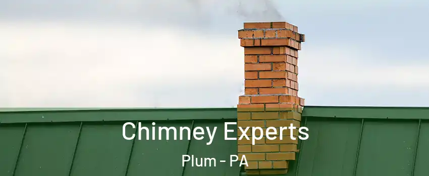 Chimney Experts Plum - PA