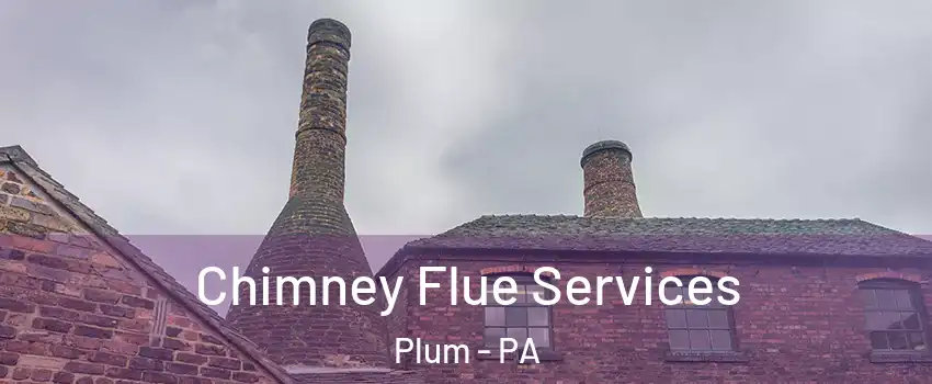  Chimney Flue Services Plum - PA