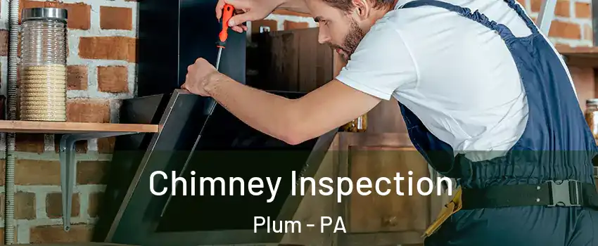  Chimney Inspection Plum - PA