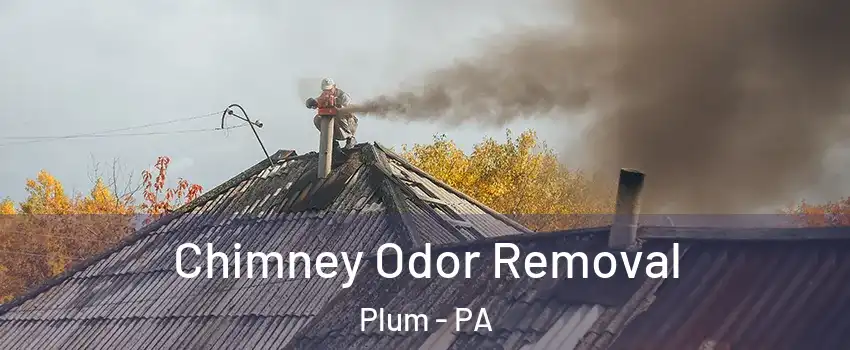  Chimney Odor Removal Plum - PA