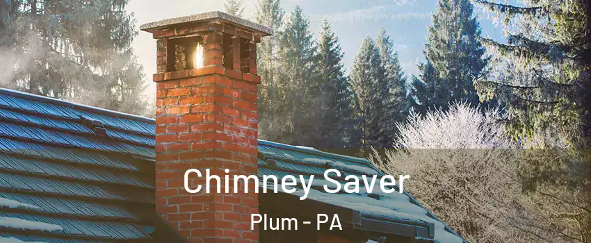  Chimney Saver Plum - PA
