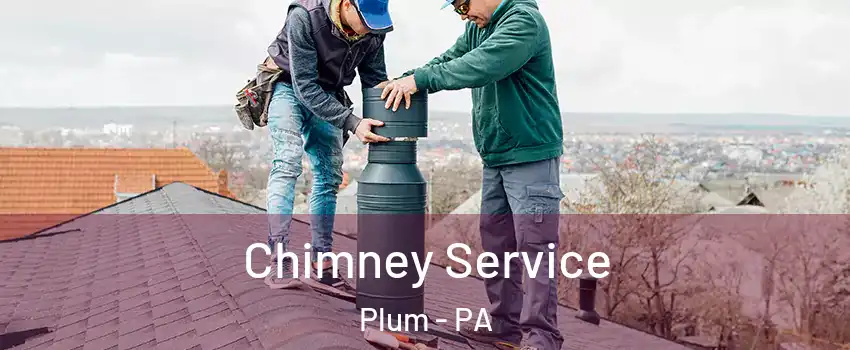  Chimney Service Plum - PA