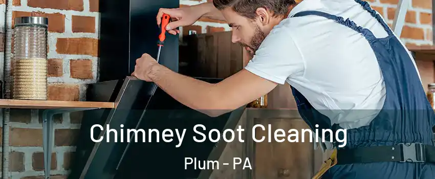  Chimney Soot Cleaning Plum - PA