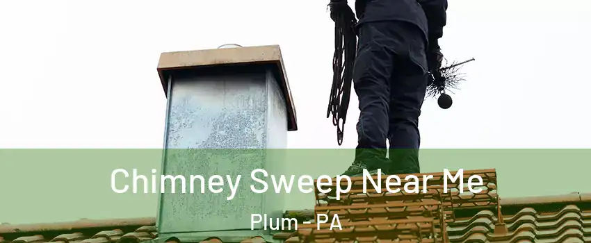  Chimney Sweep Near Me Plum - PA