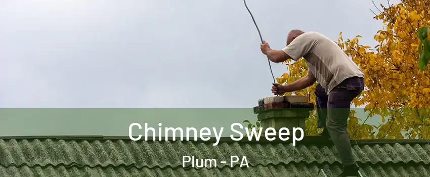  Chimney Sweep Plum - PA