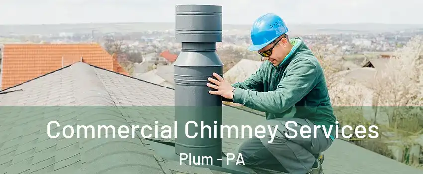  Commercial Chimney Services Plum - PA