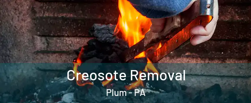  Creosote Removal Plum - PA