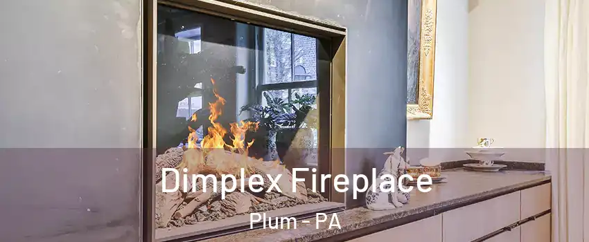  Dimplex Fireplace Plum - PA