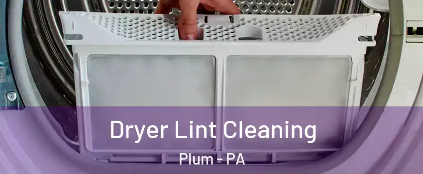  Dryer Lint Cleaning Plum - PA