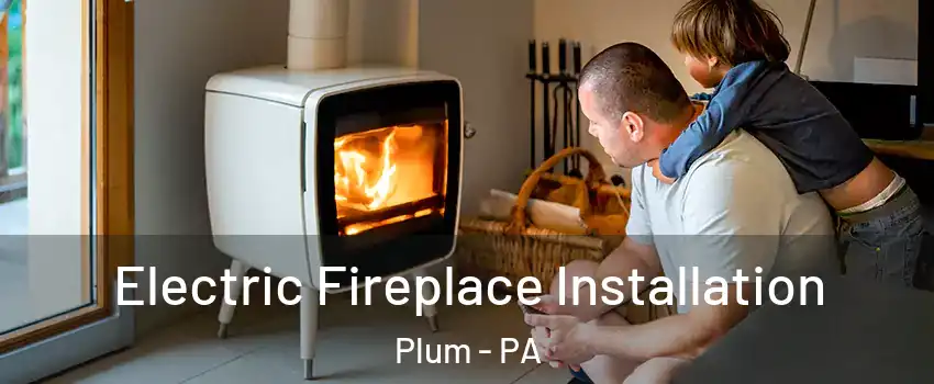  Electric Fireplace Installation Plum - PA