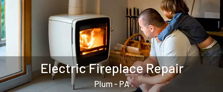  Electric Fireplace Repair Plum - PA