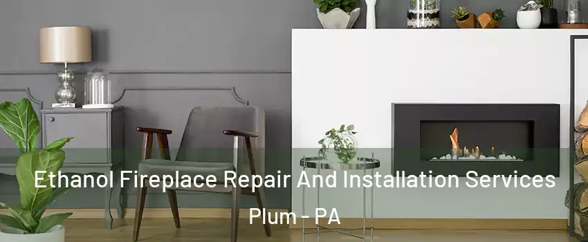  Ethanol Fireplace Repair And Installation Services Plum - PA