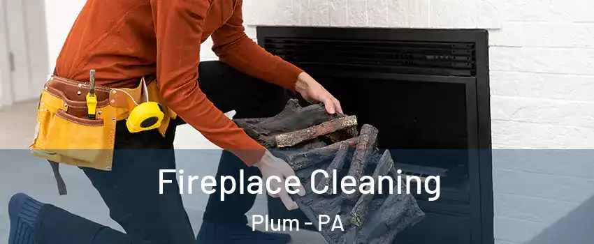  Fireplace Cleaning Plum - PA