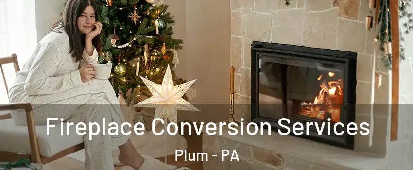  Fireplace Conversion Services Plum - PA
