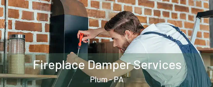  Fireplace Damper Services Plum - PA