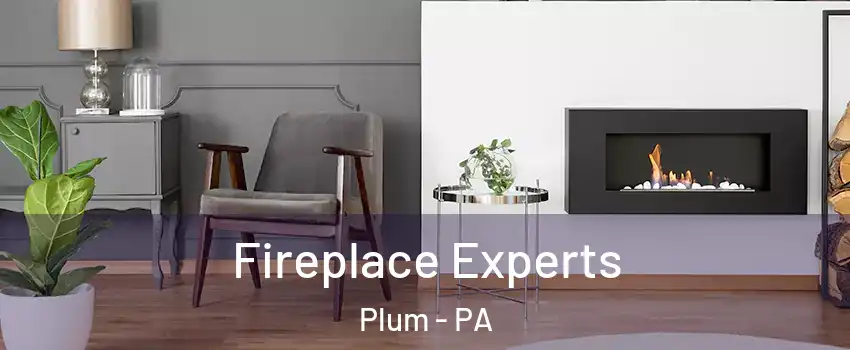  Fireplace Experts Plum - PA