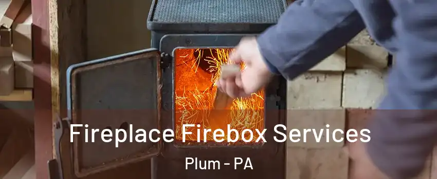  Fireplace Firebox Services Plum - PA