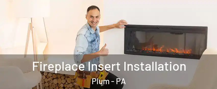  Fireplace Insert Installation Plum - PA