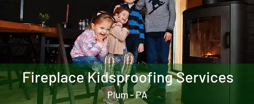 Fireplace Kidsproofing Services Plum - PA