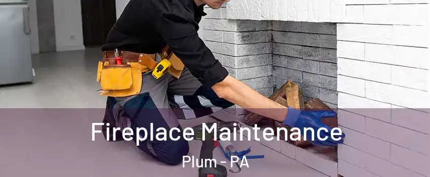  Fireplace Maintenance Plum - PA