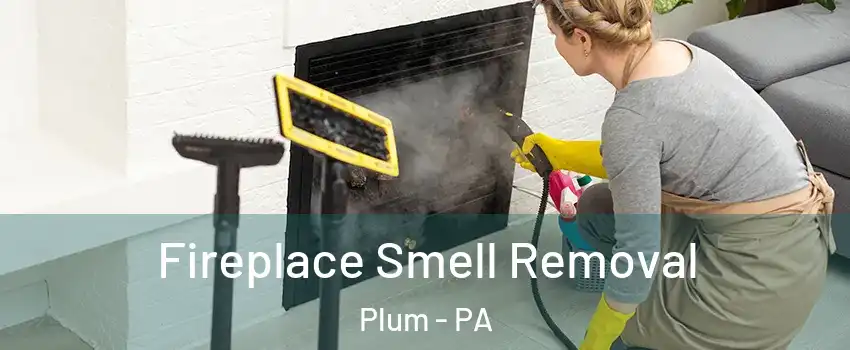  Fireplace Smell Removal Plum - PA