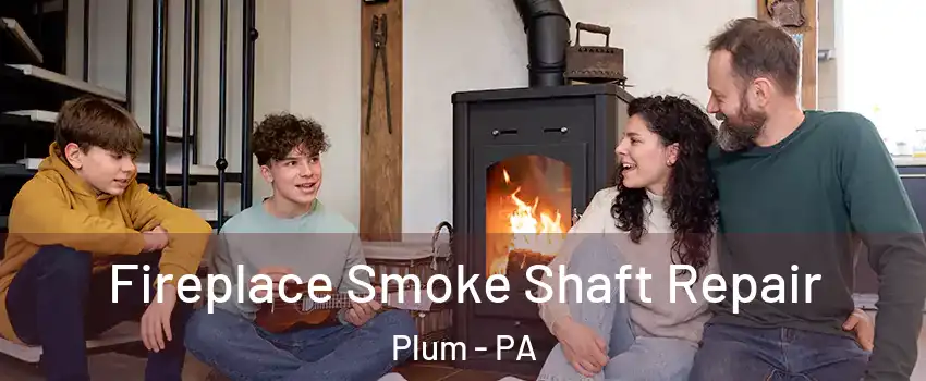  Fireplace Smoke Shaft Repair Plum - PA