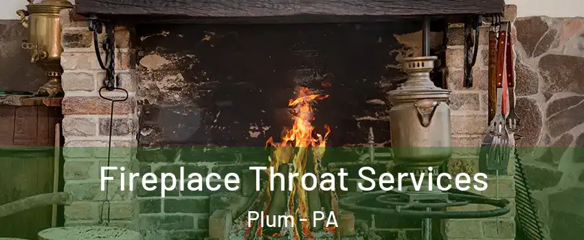 Fireplace Throat Services Plum - PA