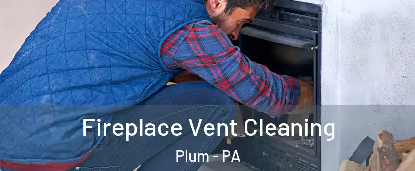  Fireplace Vent Cleaning Plum - PA