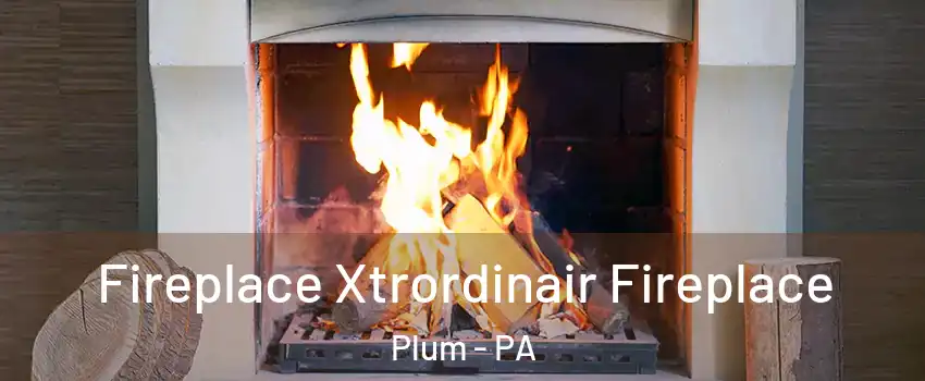  Fireplace Xtrordinair Fireplace Plum - PA