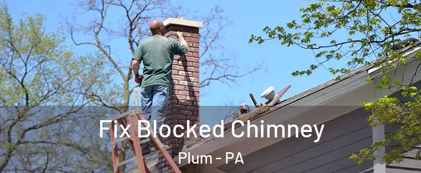  Fix Blocked Chimney Plum - PA
