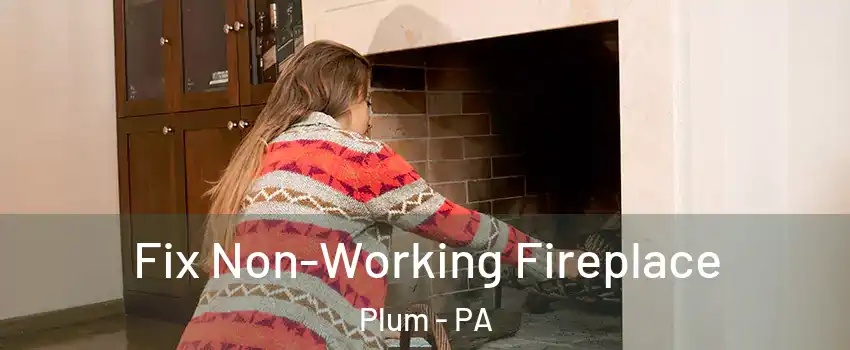  Fix Non-Working Fireplace Plum - PA