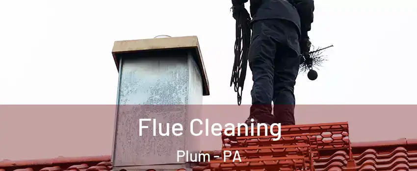  Flue Cleaning Plum - PA