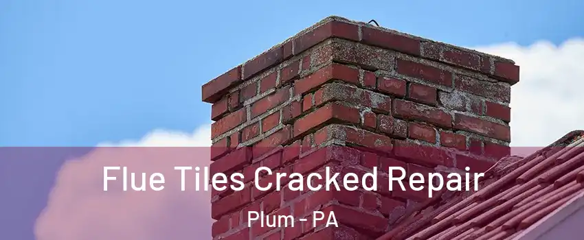  Flue Tiles Cracked Repair Plum - PA