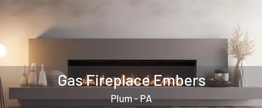  Gas Fireplace Embers Plum - PA