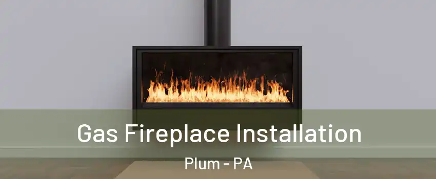  Gas Fireplace Installation Plum - PA