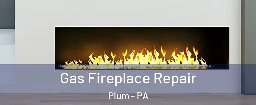  Gas Fireplace Repair Plum - PA