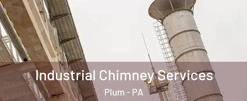  Industrial Chimney Services Plum - PA