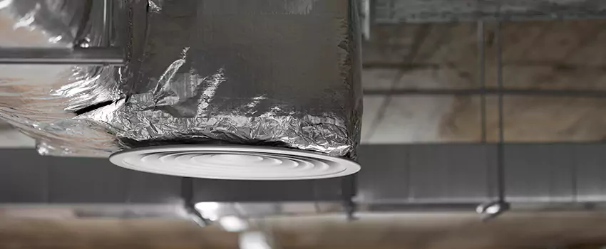 Signs of Dust Accumulation in Vents in Plum, PA